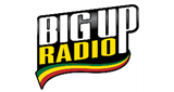 BigUpRadio / Dub logo