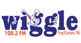 Wiggle 100 logo