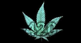 420/FM logo