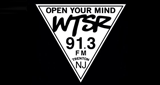 WTSR 91.3 FM logo