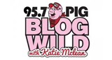 The Big Pig / Today's Sizzlin' Country logo