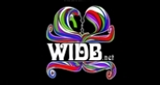 WIDB: The Revolution logo