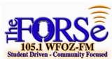 The FORSe logo