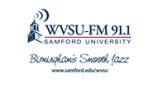 WVSU FM 91.1 logo