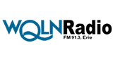 Q91.3 logo