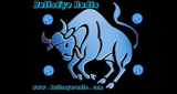 BullsEye Radio logo