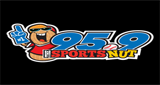 95.9 The Sports Nut logo