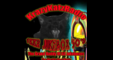 1KKR / Jukebox 50's logo
