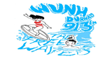 WUNH 91.3 FM logo