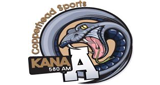 KANA 580 AM logo