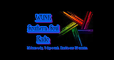WUNK Southern Soul Radio logo