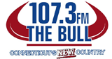 97.9 & 107.3 The Bull logo