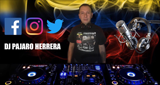 Dj Pajaro Herrera Radio logo