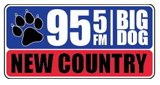 Big Dog Country logo