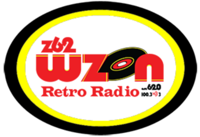 The Pulse logo