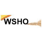 Sonshine 800 logo