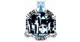 Local Music Earth logo