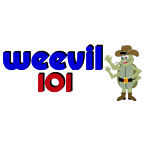 Weevil 101 logo