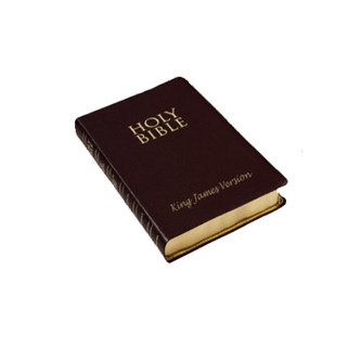 The Berean Bible Study logo