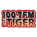 100.7 The Tiger logo