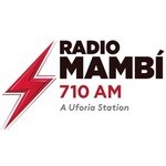 Radio Mambi 710 AM logo