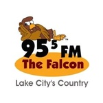 Sporting News Radio / WDSR logo