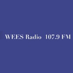 WEES/LP logo