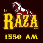 KMRI logo