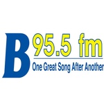 B/95.5 / WYJB logo