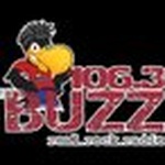 The Buzz / KBZS logo