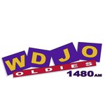 Oldies 1480 WDJO / WDJO logo