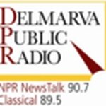 WSDL logo
