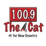 The Cat 100.9 / WKLI logo