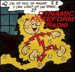 Dynamic Indie Radio logo