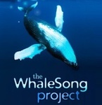 Whale Song logo