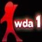 WDA1 / We Dance As One logo