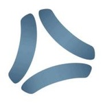 Family Life Radio Network / WCIG logo