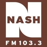 Nash FM 103.3 / WKDF logo