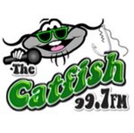 The Catfish / WFWL logo
