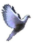 WJDA logo
