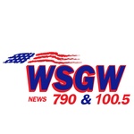 News Radio 790 / WSGW logo