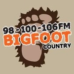 Y106.5 / WFYY logo