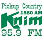 KNIM logo