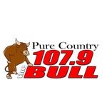 The Bull / KTIC/FM logo