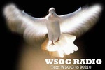 WSOG logo