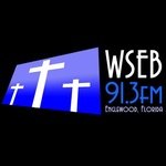 WSEB logo