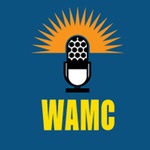 WAMC/FM / W295AA logo