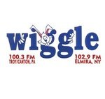 WHGL/FM / W275AB logo