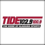 Oldies 99.1 / WDGM logo