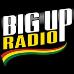 BigupradioSka Radio logo